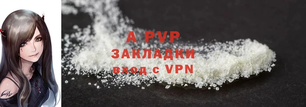 бошки Бородино