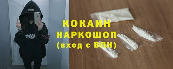бошки Бородино