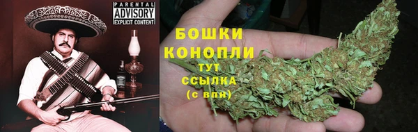 бошки Бородино