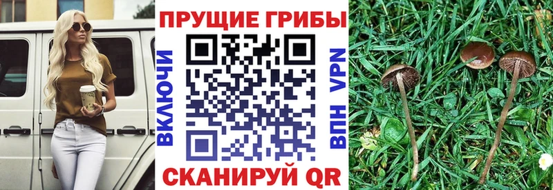 Псилоцибиновые грибы Psilocybine cubensis  МЕГА сайт  это официальный сайт  Сосногорск 